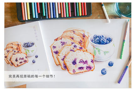 Color pencil drawing book 32 c - Food Snacks Coloring Book recension och pris